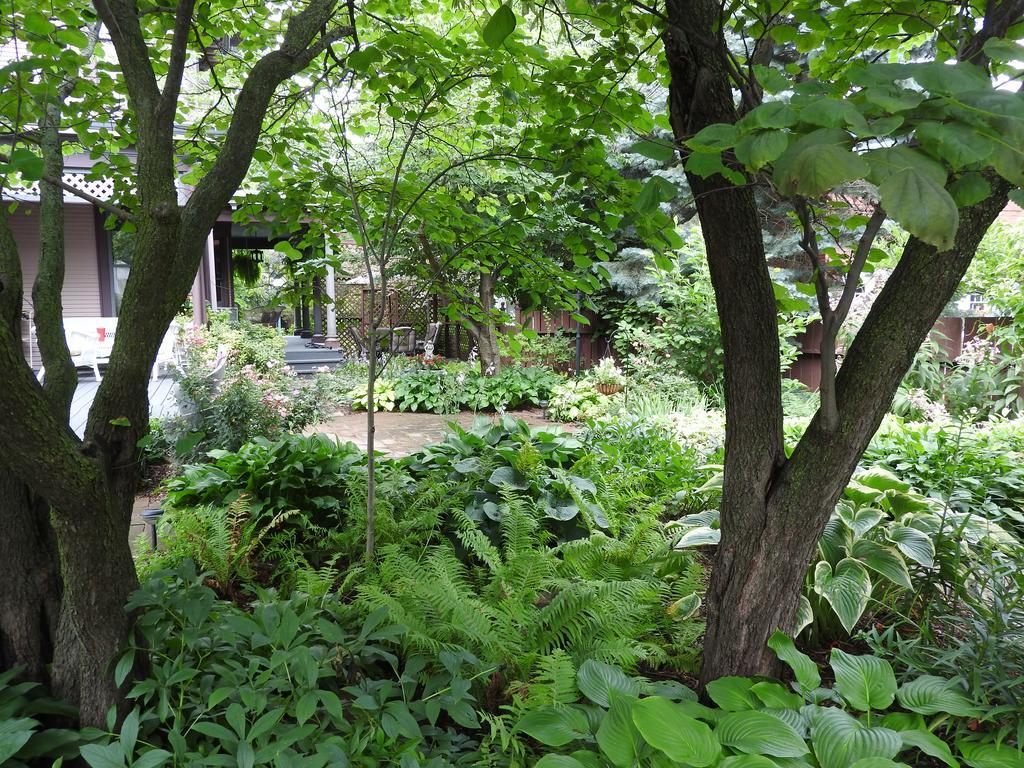 Champaign Garden Inn Экстерьер фото